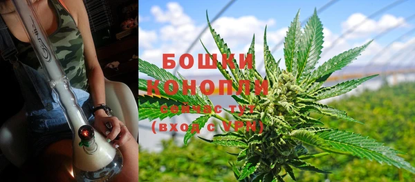прущие крисы Зеленокумск