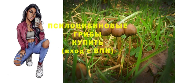 прущие крисы Зеленокумск