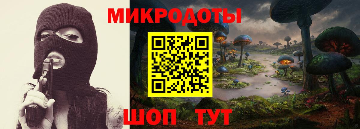 Псилоцибиновые грибы Cubensis Бугульма